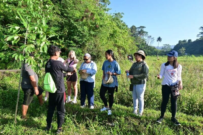 Bali Rice Terraces & Cultural Temples Tour - Good To Know