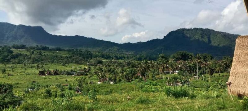 Bali Rice Terraces & Cultural Temples Tour - Practicalities: What You Need to Know