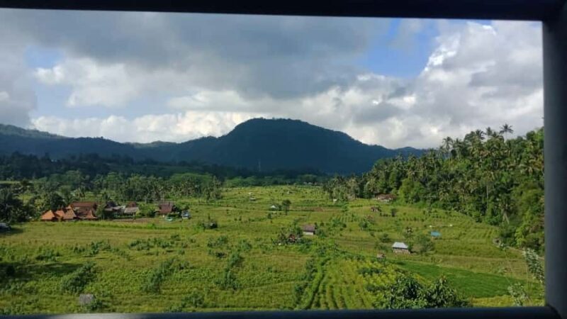 Bali Rice Terraces & Cultural Temples Tour - Final Thoughts