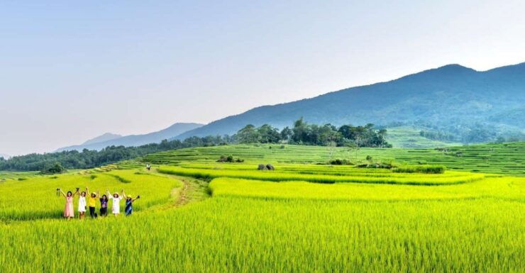 Bali: Rice Terraces Guided Hiking Experience - Experience Highlights