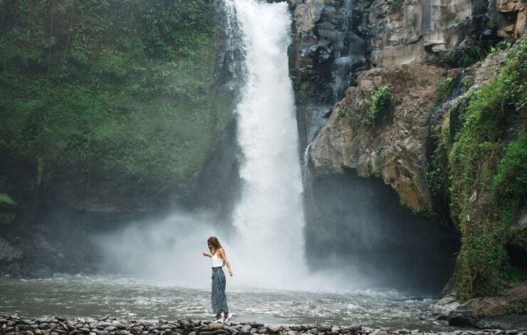 Bali: Rice Terraces, Holy Water Temple & Waterfall Tour - Tour Highlights