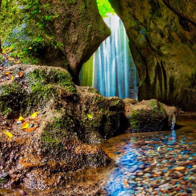 Bali: Rice Terraces, Water Temple, Waterfall (Private Tour) - Tour Booking and Payment Process