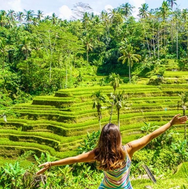 Bali: Rice Terraces, Water Temple, Waterfall (Private Tour) - Tour Highlights and Experiences