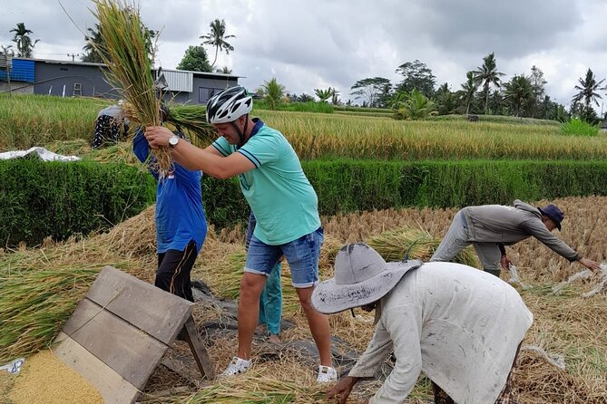 Bali Rural Eco Private Bike Tour in Ubud With Lunch - Tour Details