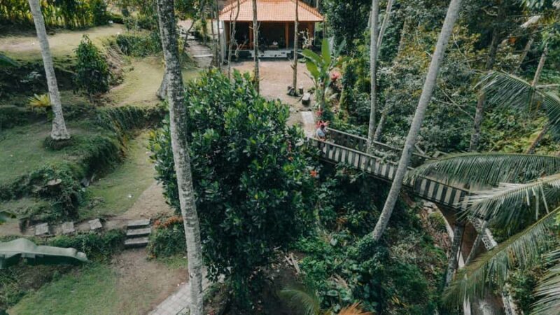 Bali: Rural Trekking and River Adventure Tour - What People Say