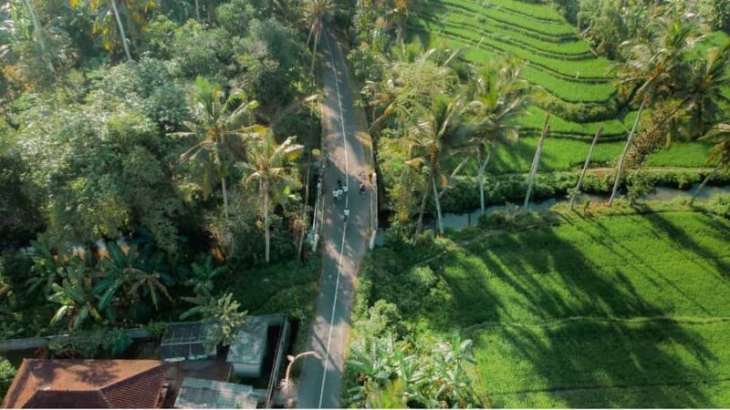 Bali: Rural Trekking and River Adventure Tour - In Summary