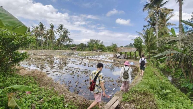 Bali: Rural Trekking and River Adventure Tour - Detailed Review of the Bali Rural Trekking and River Adventure Tour