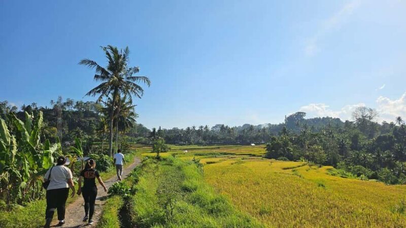 Bali: Rural Trekking and River Adventure Tour - Final Thoughts
