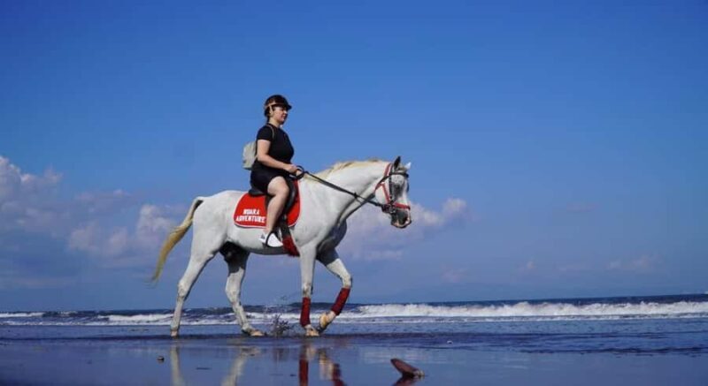 Bali: Saba Beach Horseback Riding Experience - Detailed Breakdown of the Experience