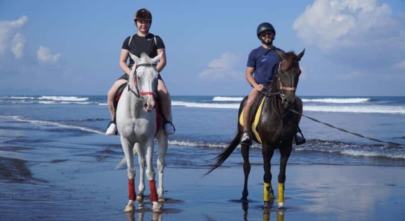 Bali: Saba Beach Horseback Riding Experience - Good To Know