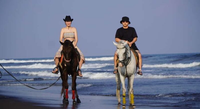Bali: Saba Beach Horseback Riding Experience - Frequently Asked Questions