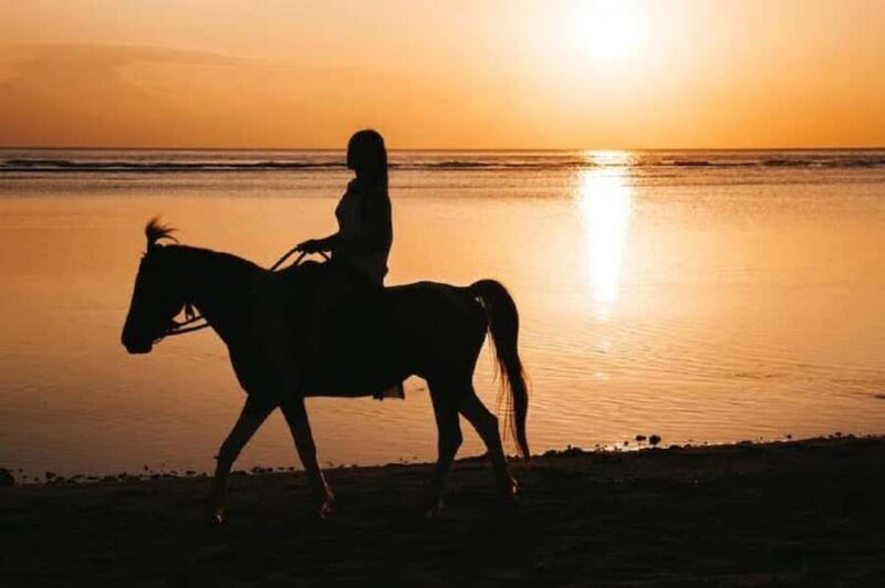Bali: Saba Beach Premium Horseback Riding Experience - Refreshing Breaks and Personal Touches
