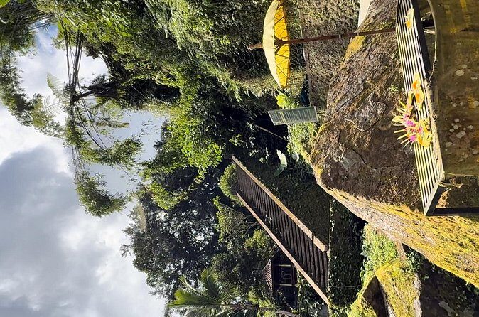 Bali Sacred Purification at Spring Water Temple - The Sum Up