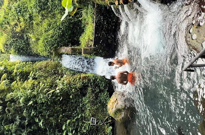 Bali Sacred Purification at Spring Water Temple - Who Should Consider This Tour?