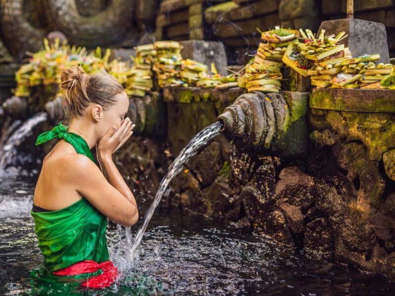 Bali : Sacred Temples & Rice Terraces full day, Private Tour - Who Will Love This Tour?