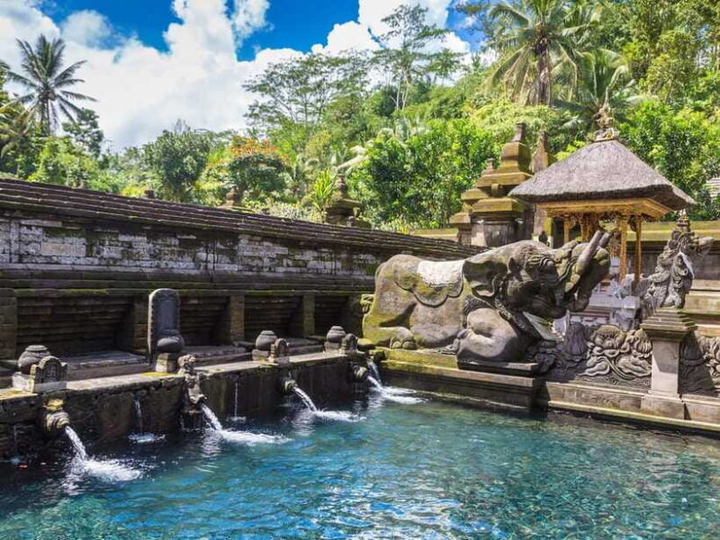 Bali : Sacred Temples & Rice Terraces full day, Private Tour - The Sum Up