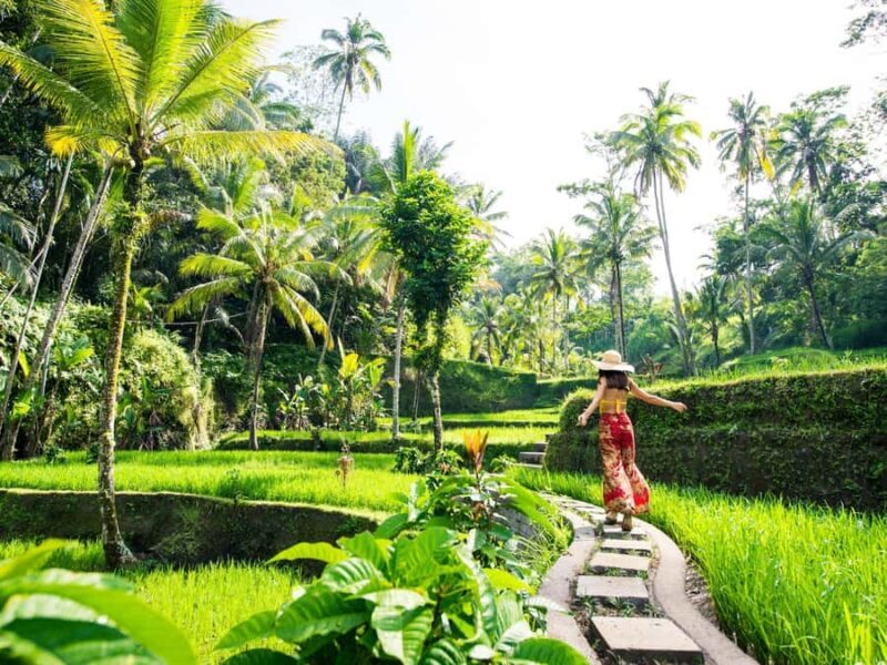 Bali : Sacred Temples & Rice Terraces full day, Private Tour - Cost and Value Analysis