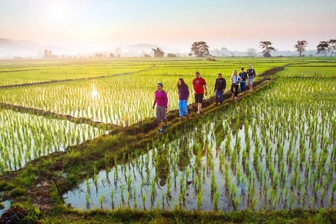 Bali Sambangan Waterfall, Rice Field, Secret Garden Tour - Tour Highlights and Inclusions