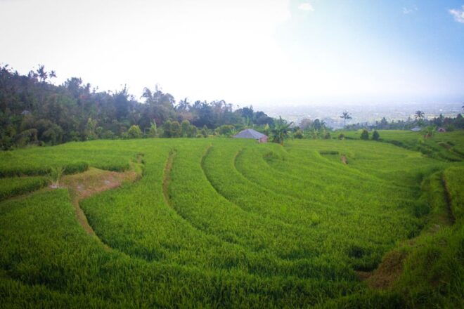 Bali: Sambangan Waterfalls Trekking, Sliding, & Jumping Trip - Additional Information and Tips