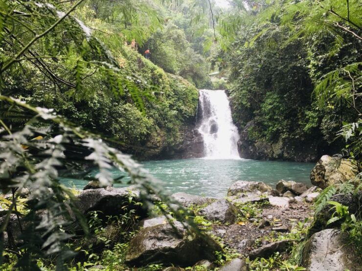 Bali: Sambangan Waterfalls Trekking, Sliding, & Jumping Trip - Highlights of the Trip