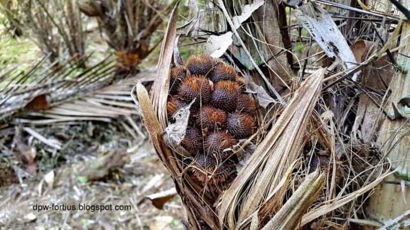 Bali: Samsara Living Museum, Balinese life cycle - In-Depth Look at the Itinerary