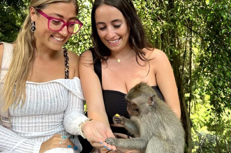 BALI :Sanctuary Monkey forest, rice terrace Water temple - The Sacred Monkey Forest Ubud