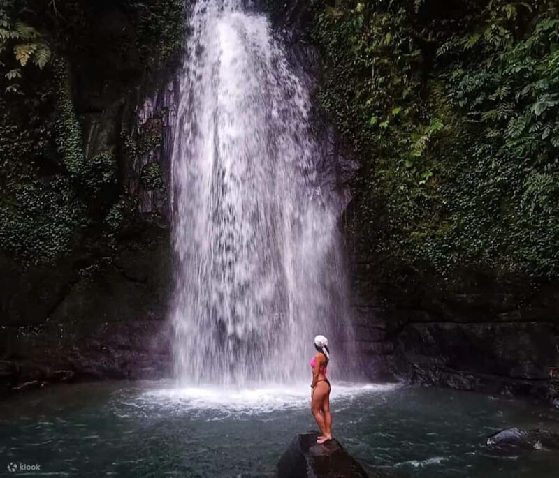 BALI :Sanctuary Monkey forest, rice terrace Water temple - Coffee Tasting: Sampling Bali’s Famous Brews