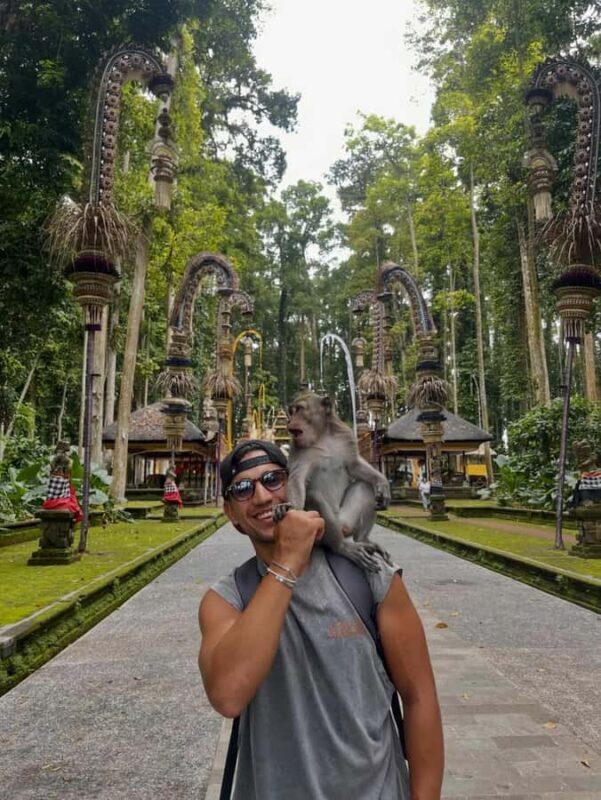 Bali: Sangeh Monkey Forest, Chocolate Factory & Temple Tour - Why This Tour Works