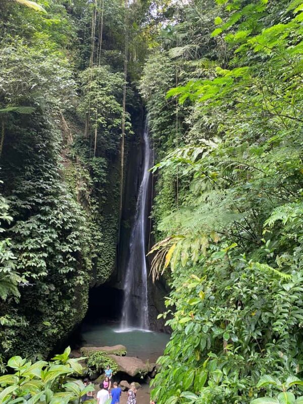 Bali: Sangeh Monkey Forest, Waterfall, & Temple Tour - Discovering Balinese Culture and Traditions  