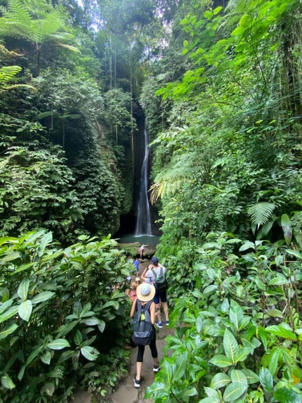 Bali: Sangeh Monkey Forest, Waterfall, & Temple Tour - Detailed Breakdown of Each Stop  