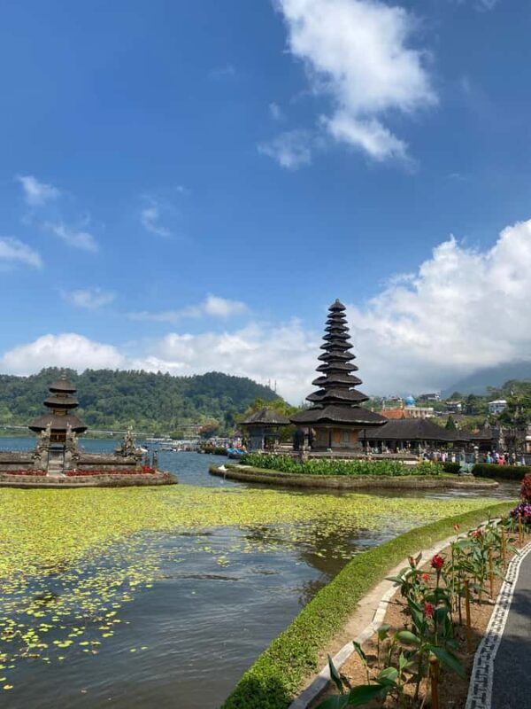 Bali: Sangeh Monkey Forest, Waterfall, & Temple Tour - FAQ  