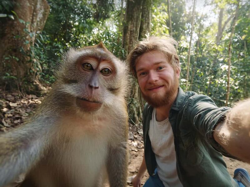 Bali: Sangeh, Taman Mumbul & Jatiluwih Private Day Tour - Who Is This Tour Best For?