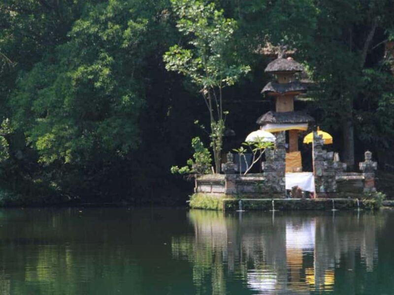 Bali: Sangeh, Taman Mumbul & Jatiluwih Private Day Tour - Good To Know