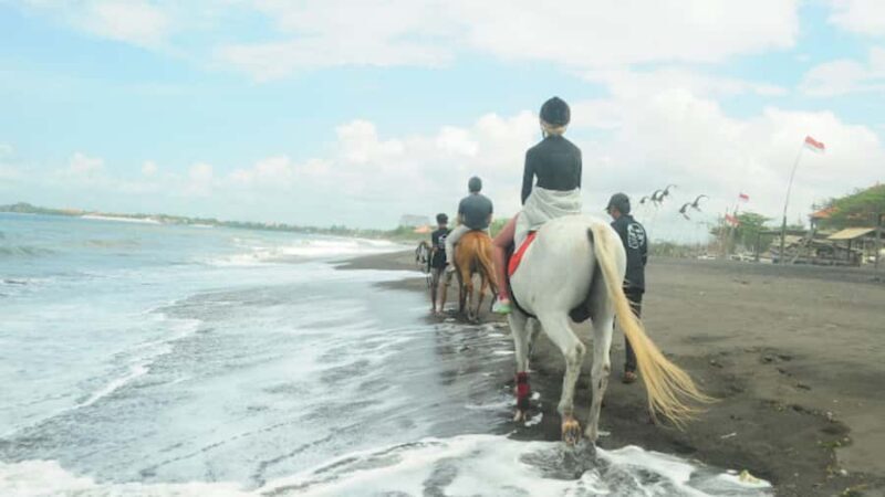 Bali: Sanur Horse Riding for Beginner Experience - Good To Know