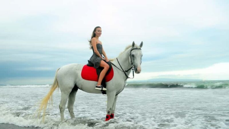 Bali: Sanur Horse Riding for Beginner Experience - Introduction