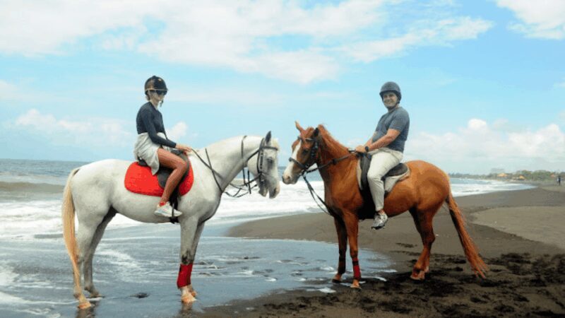 Bali: Sanur Horse Riding for Beginner Experience - Practical Details and Considerations