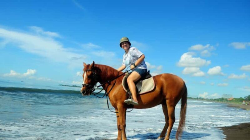 Bali: Sanur Horse Riding for Beginner Experience - FAQ