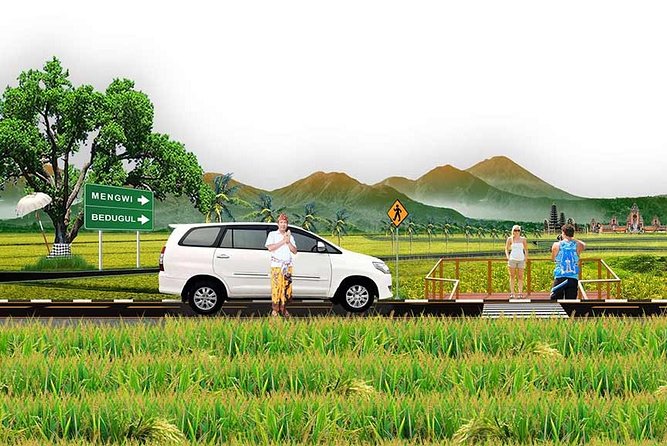 Bali Scenic & Must-visit Spots, Part III - Ubud Rice Terraces