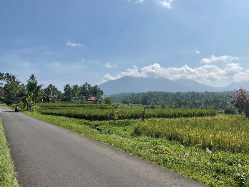 Bali Scooter Tour With Tour Guide - FAQ
