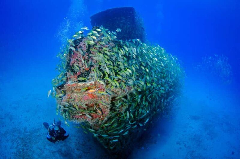 Bali: Scuba Diving Experience for Beginners and Families - Good To Know