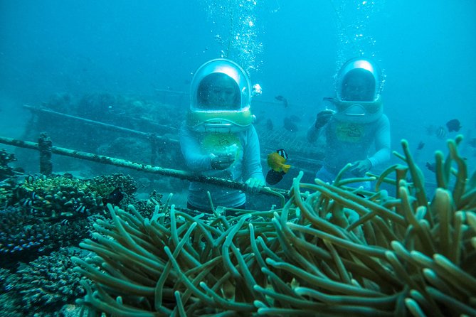 Bali Sea Walker Adventure in Tanjung Benoa - Experience Inclusions