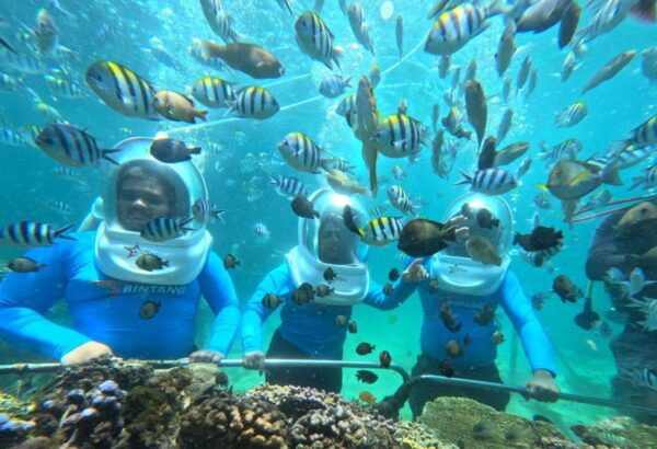 Bali Sea Walker Experience With Optional Sightseeing Tour - Title of the Activity