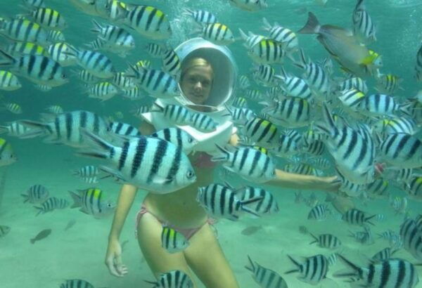 Bali Sea Walker Experience With Optional Sightseeing Tour - Optional Sightseeing Tour