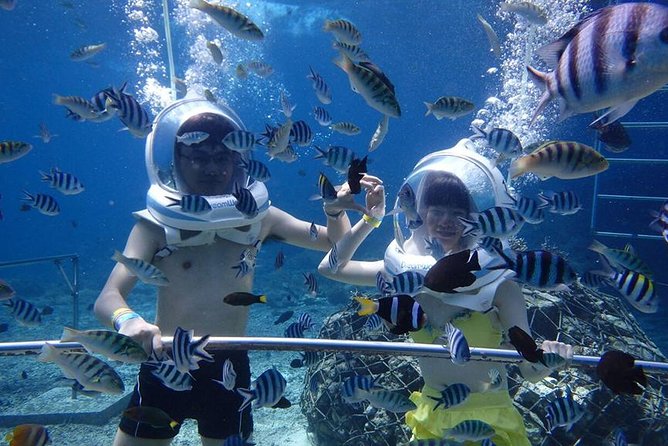 Bali Sea Walker Tanjung Benoa - Tour Details