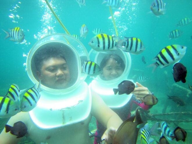 Bali: Sea Walker Under Water Experience - Highlights of the Experience