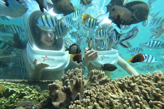 Bali Sea Walker Watersport - What Is the Bali Sea Walker Watersport?