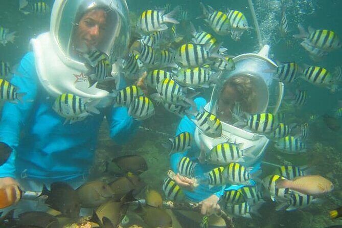 Bali Sea Walker Watersport - Booking and Pricing Insights