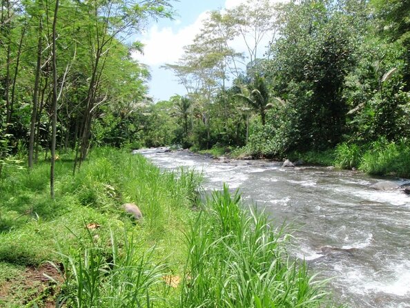 Bali Sea Walking and Telaga Waja Rafting Trip Adventure - Good To Know