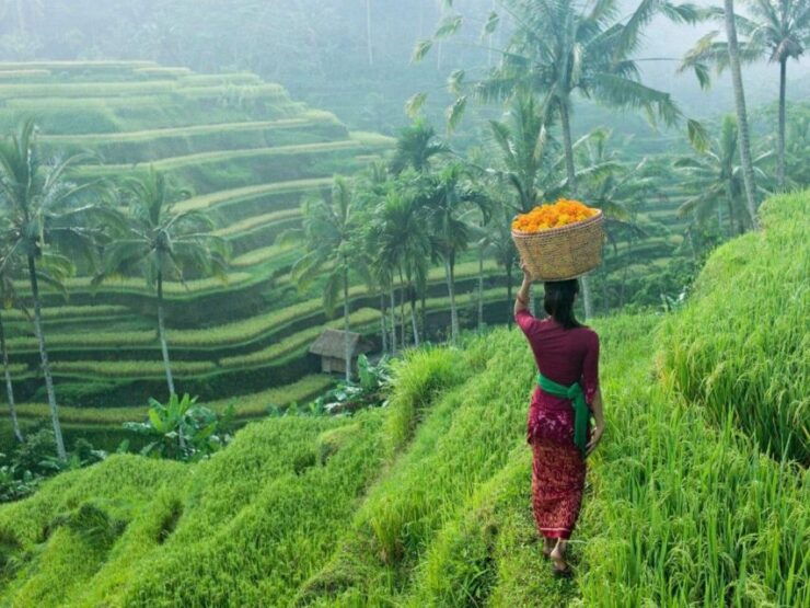 Bali: Secret and Untouristic Tour North West Bali. - Good To Know