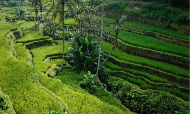 Bali: Secret Garden, Ulun Danu Temple and Waterfall Tour - Booking Details and Group Size